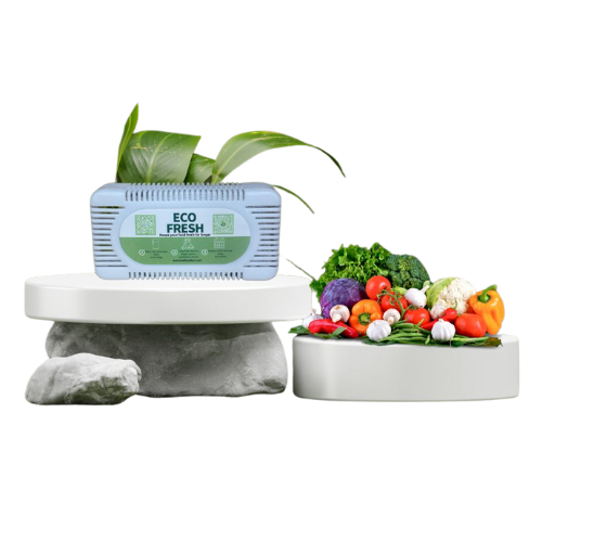 Ecofresh_Box (2) Ecofresh_Box (2)